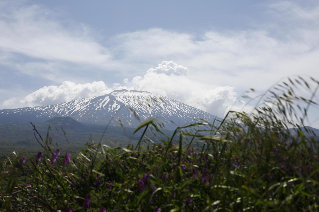 Agriturismo San Cataldo Motta Camastra Eksteriør bilde