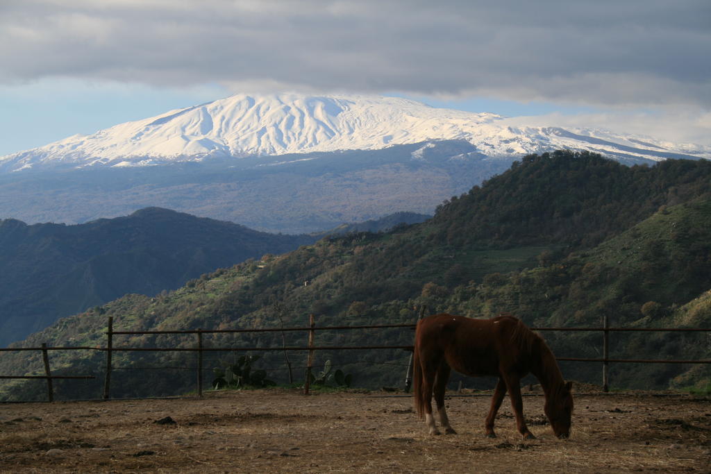 Agriturismo San Cataldo Motta Camastra Eksteriør bilde